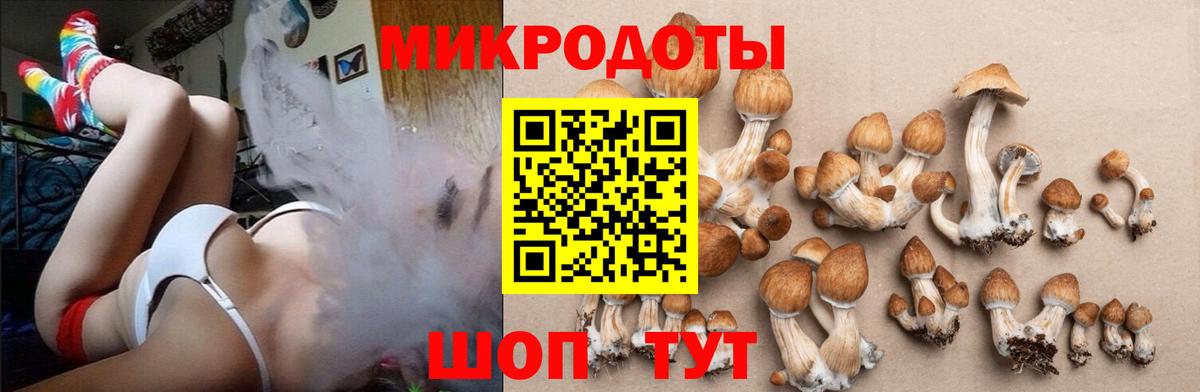 Псилоцибиновые грибы Magic Shrooms  Галлюциногенные грибы Psilocybe  Михайловск  Вход с VPN 